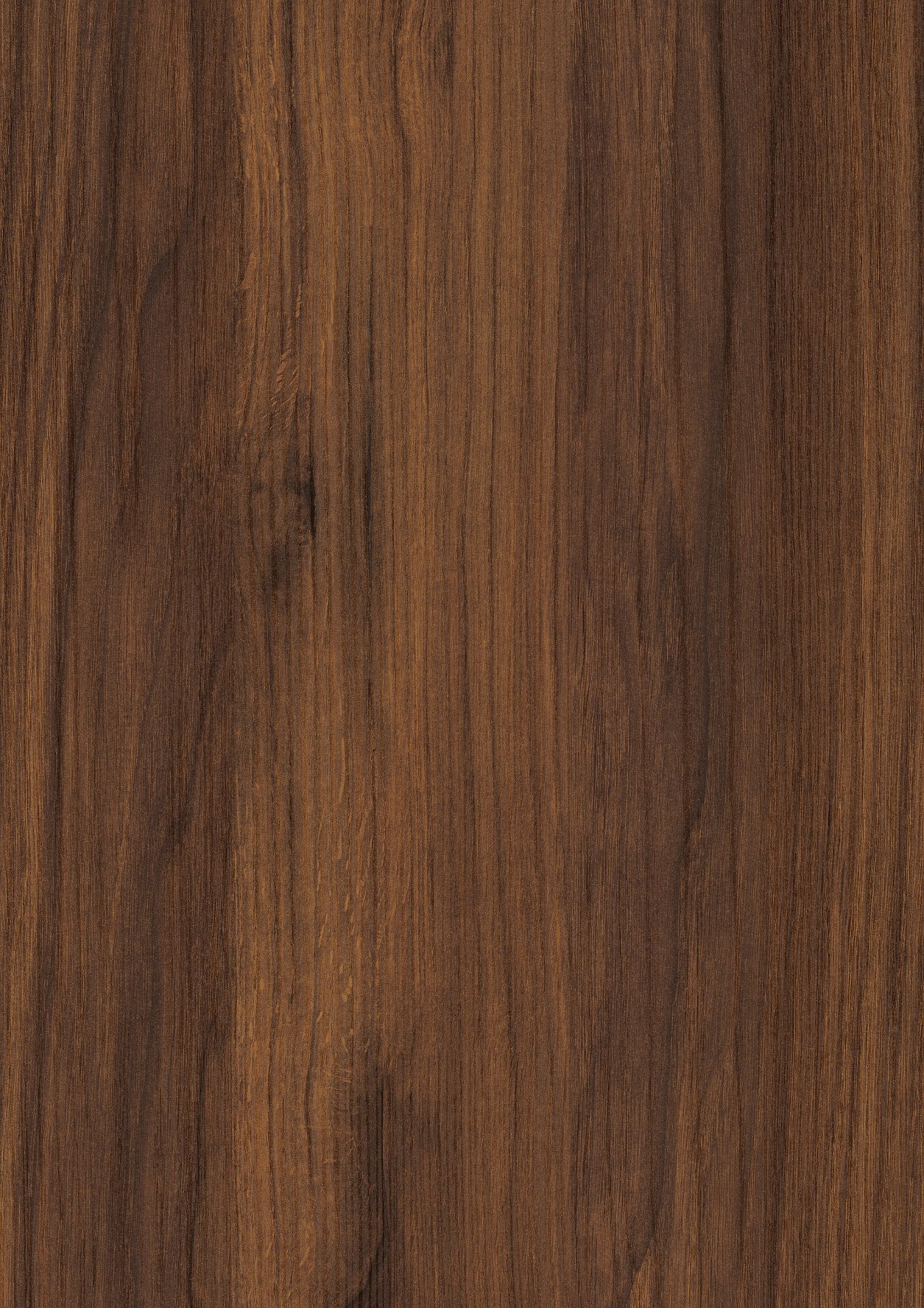 Brown Warmia Walnut